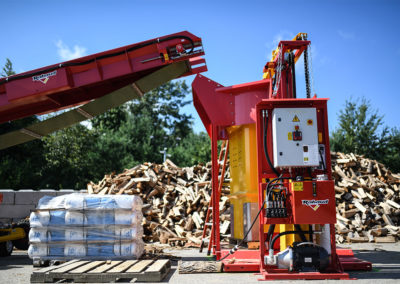 Rabaud Firewood Palletizer