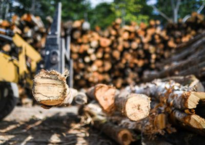 Firewood Being Processed